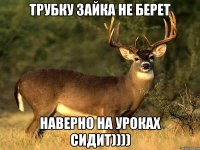 трубку зайка не берет наверно на уроках сидит))))