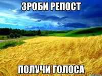 Зроби Репост Получи Голоса