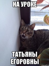 На уроке Татьяны егоровны