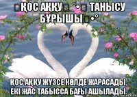 ❤Қос Аққу❤ °•★ Танысу бұрышы★•° Қос аққу жүзсе көлде жарасады, Екі жас табысса бағы ашылады.