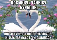 Қос Аққу♡Танысу бұрышы Қос аққу жүзсе көлде жарасады, Екі жас табысса бағы ашылады.