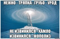 НЕЖНО - ТРЯПКА ; ГРУБО - УРОД НЕ ИЗВИНИЛСЯ - ХАМЛО ИЗВИНИЛСЯ - ЖОПОЛИЗ