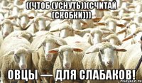 ((чтоб (уснуть))(считай (скобки))) овцы — для слабаков!