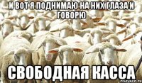 и вот я поднимаю на них глаза и говорю свободная касса
