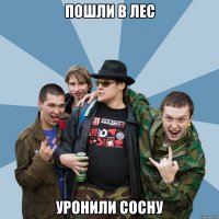 пошли в лес уронили сосну