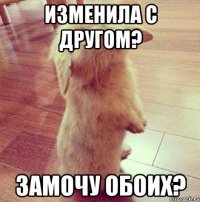 Изменила с другом? Замочу обоих?