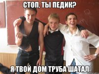 Стоп, ты педик? Я твой дом труба шатал