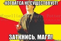 -Хогватса не существвует! Заткнись, магл!