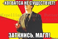 -Хогватса не существует! Заткнись, магл!