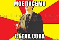 мое письмо съела сова