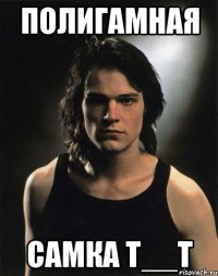 Полигамная самка Т__Т