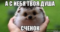 А с иебя твоя душа сченок