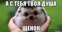 А с тебя твоя душа Щенок