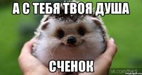 А с тебя твоя душа Сченок