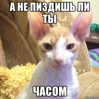 а не пиздишь ли ты часом