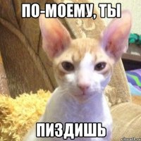 по-моему, ты пиздишь