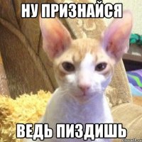 ну признайся ведь пиздишь