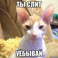 ты слит уёбывай