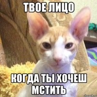 Твое лицо когда ты хочеш мстить