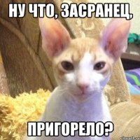 ну что, засранец, пригорело?