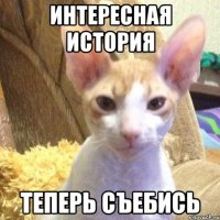интересная история теперь съебись