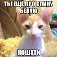 ты ещё про спину белую пошути