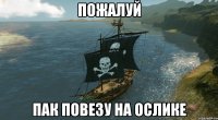 Пожалуй пак повезу на ослике