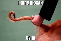 ЖОПУ НЮХАЙ СУКА