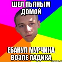 шел пьяным домой ебанул мурчика возле падика