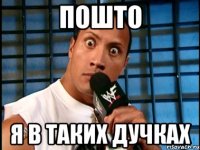 пошто я в таких дучках