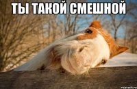 ты такой смешной 
