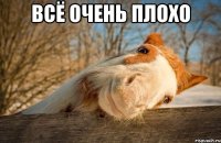 Всё очень плохо 