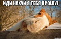 Иди нахуй я тебя прошу) 