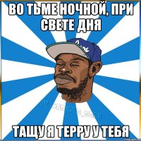 Во тьме ночной, при свете дня Тащу я терру у тебя
