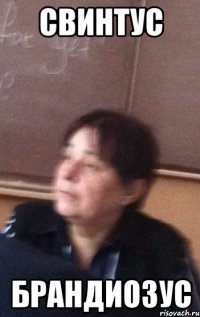СВИНТУС БРАНДИОЗУС