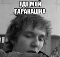 Где мой таракашка 