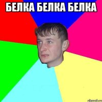 БЕЛКА БЕЛКА БЕЛКА 