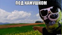 Под камушком 
