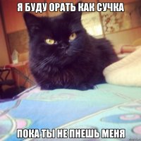 Я буду орать как сучка пока ты не пнешь меня