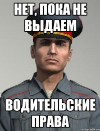 нет, пока не выдаем водительские права
