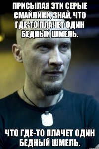 Присылая эти серые смайлики, знай, что где-то плачет один бедный Шмель. что где-то плачет один бедный Шмель.