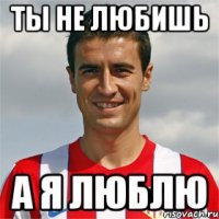 ты не любишь а я люблю