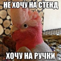 не хочу на стенд хочу на ручки