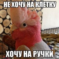 не хочу на клетку хочу на ручки