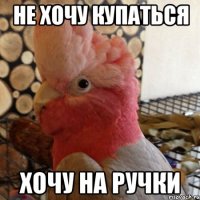 не хочу купаться хочу на ручки