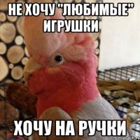 не хочу "любимые" игрушки хочу на ручки