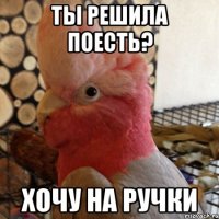 ты решила поесть? хочу на ручки