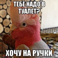 тебе надо в туалет? хочу на ручки