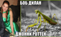 Боб Дилан Джонни Роттен