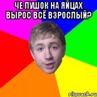 Че пушок на яйцах вырос всё взрослый? 